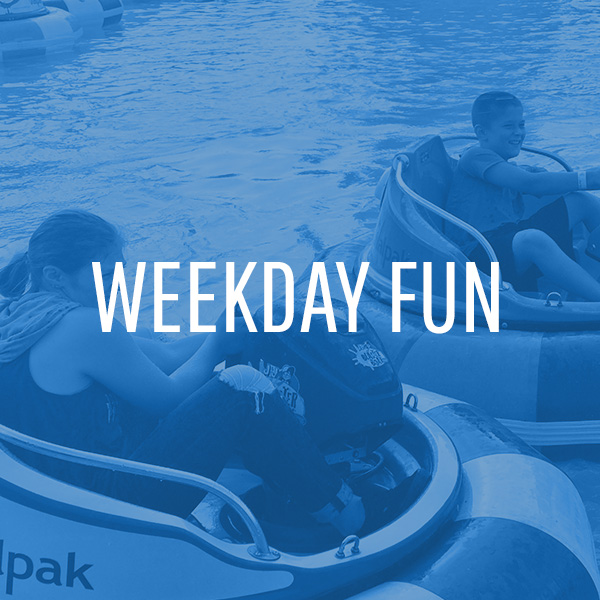 Weekday Fun | Swings-N-Things Family Fun Park | Olmstead Twp, OH